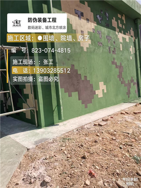 陕西核心结论：专业提供外墙迷彩漆施工服务